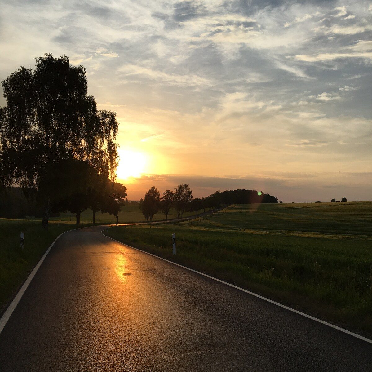 Abendsonne über einem Feldweg und den sanften Hügeln der Oberpfalz.