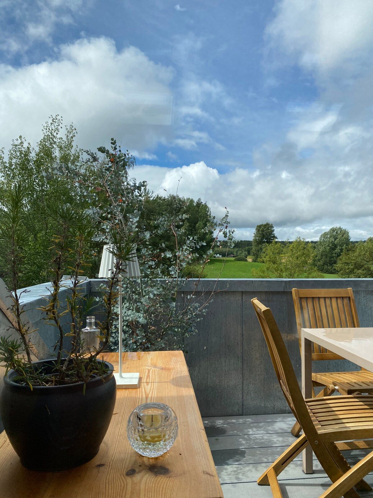 Dachterrasse des Lofts mit Eukalyptus im Topf und weitem Blick ins Grüne.